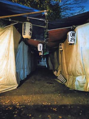 若林美加子の写メ日記｜プレジデントハウス 吉原大衆店ソープ