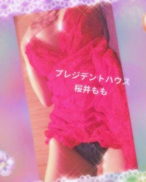 桜井ももの写メ日記｜プレジデントハウス 吉原大衆店ソープ