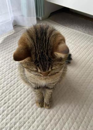 桜井ももの写メ日記｜プレジデントハウス 吉原大衆店ソープ