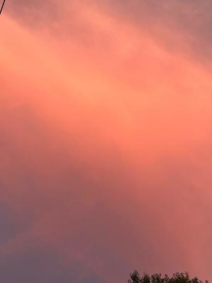 岡 かなえの写メ日記｜プレジデントハウス 吉原大衆店ソープ