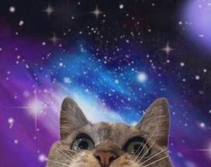 高嶋 玲の写メ日記｜プレジデントハウス 吉原大衆店ソープ