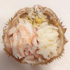 成瀬まこの写メ日記｜プレジデントハウス 吉原大衆店ソープ