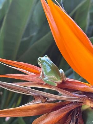 成瀬まこの写メ日記｜プレジデントハウス 吉原大衆店ソープ