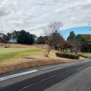 成瀬まこの写メ日記｜プレジデントハウス 吉原大衆店ソープ