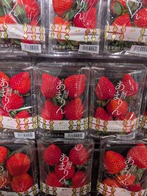 成瀬まこの写メ日記｜プレジデントハウス 吉原大衆店ソープ