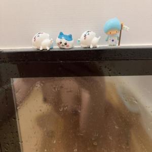 成瀬まこの写メ日記｜プレジデントハウス 吉原大衆店ソープ