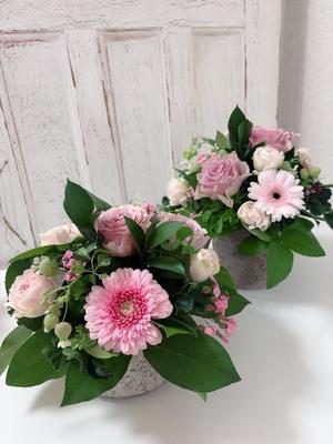 成瀬まこの写メ日記｜プレジデントハウス 吉原大衆店ソープ