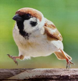 成瀬まこの写メ日記｜プレジデントハウス 吉原大衆店ソープ