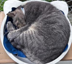 天海佑梨の写メ日記｜プレジデントハウス 吉原大衆店ソープ