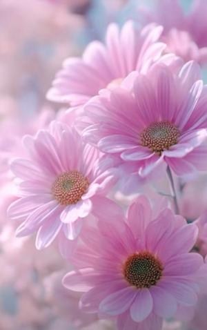 天海佑梨の写メ日記｜プレジデントハウス 吉原大衆店ソープ