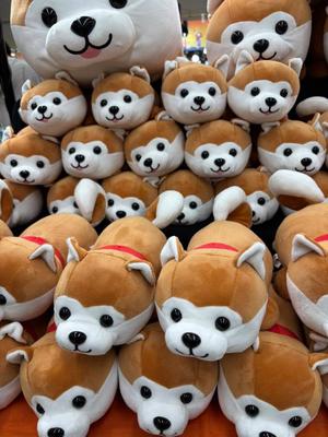 天海佑梨の写メ日記｜プレジデントハウス 吉原大衆店ソープ
