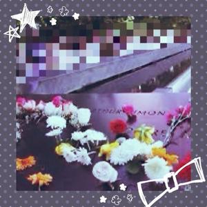 水川星名の写メ日記｜プレジデントハウス 吉原大衆店ソープ