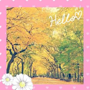 水川星名の写メ日記｜プレジデントハウス 吉原大衆店ソープ