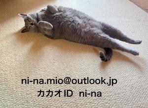 新名美緒の写メ日記｜プレジデントハウス 吉原大衆店ソープ