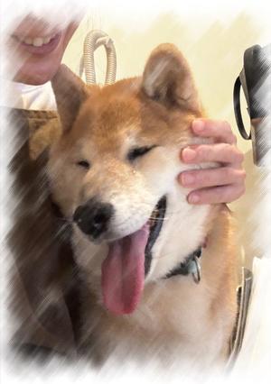 新名美緒の写メ日記｜プレジデントハウス 吉原大衆店ソープ