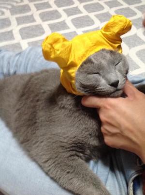 新名美緒の写メ日記｜プレジデントハウス 吉原大衆店ソープ