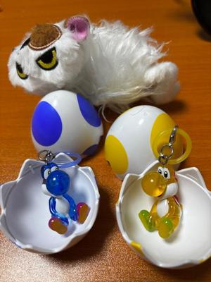 新名美緒の写メ日記｜プレジデントハウス 吉原大衆店ソープ
