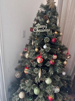 柊 月帆の写メ日記｜プレジデントハウス 吉原大衆店ソープ