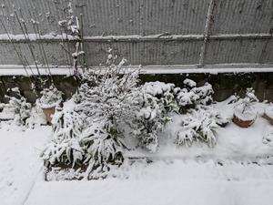 柊 月帆の写メ日記｜プレジデントハウス 吉原大衆店ソープ