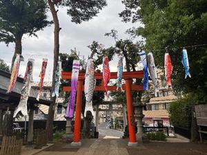 柊 月帆の写メ日記｜プレジデントハウス 吉原大衆店ソープ