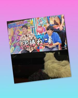 愛原りおなの写メ日記｜プレジデントハウス 吉原大衆店ソープ