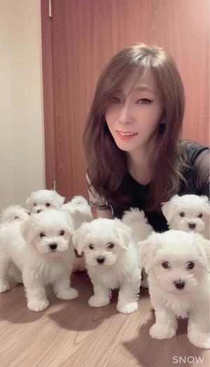 高坂志乃の写メ日記｜プレジデントハウス 吉原大衆店ソープ