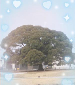 高坂志乃の写メ日記｜プレジデントハウス 吉原大衆店ソープ