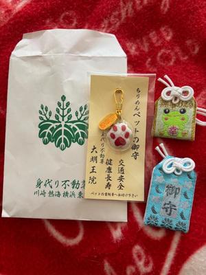 竹内ケイの写メ日記｜プレジデントハウス 吉原大衆店ソープ