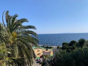 琴音みやびの写メ日記｜プレジデントハウス 吉原大衆店ソープ