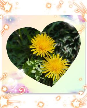 水瀬あいなの写メ日記|プレジデントハウス 吉原大衆店ソープ