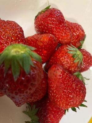 藤原さくらの写メ日記｜プレジデントハウス 吉原大衆店ソープ