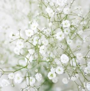 橘 みわの写メ日記｜プレジデントハウス 吉原大衆店ソープ