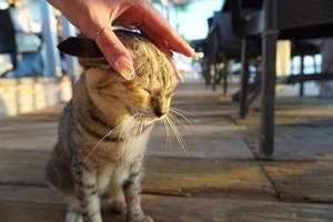 Renonの写メ日記｜プロポーション 吉原高級店ソープ
