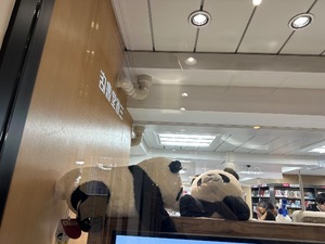 Chitoseの写メ日記｜プロポーション 吉原高級店ソープ