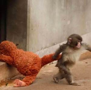 Kannaの写メ日記｜プロポーション 吉原高級店ソープ