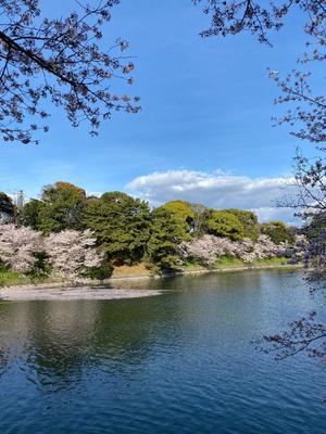 大桃かれんの写メ日記｜ローテンブルク 吉原高級店ソープ