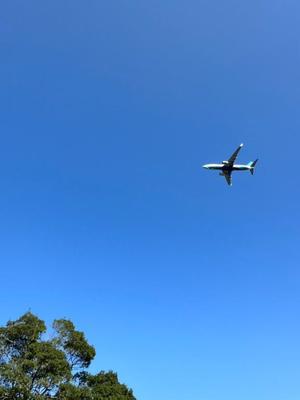 本多真歩の写メ日記｜ローテンブルク 吉原高級店ソープ