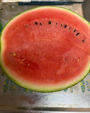 本多真歩の写メ日記｜ローテンブルク 吉原高級店ソープ