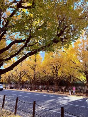 八代麻里江の写メ日記｜ローテンブルク 吉原高級店ソープ