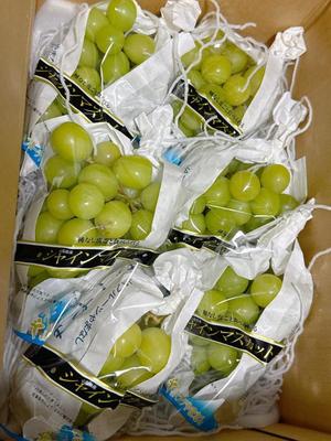 長門明奈の写メ日記｜ローテンブルク 吉原高級店ソープ