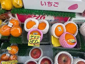 長門明奈の写メ日記｜ローテンブルク 吉原高級店ソープ