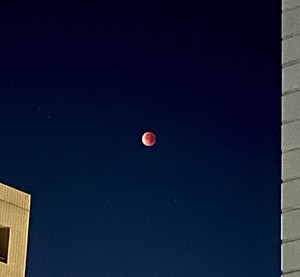 天野いくみの写メ日記｜ローテンブルク 吉原高級店ソープ