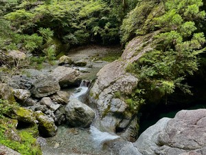 天野いくみの写メ日記｜ローテンブルク 吉原高級店ソープ