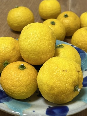 天野いくみの写メ日記｜ローテンブルク 吉原高級店ソープ