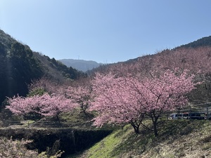 天野いくみの写メ日記｜ローテンブルク 吉原高級店ソープ