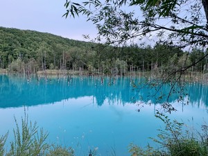 星月彩花の写メ日記｜ローテンブルク 吉原高級店ソープ