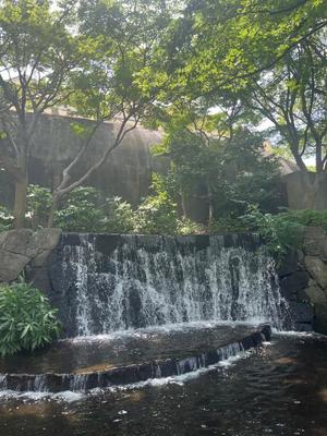 山岡鈴蘭の写メ日記｜ローテンブルク 吉原高級店ソープ