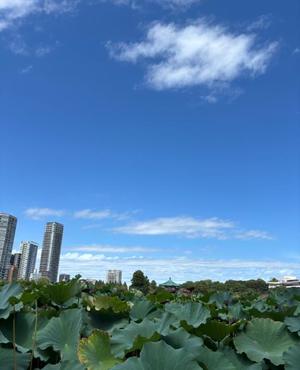 山岡鈴蘭の写メ日記｜ローテンブルク 吉原高級店ソープ
