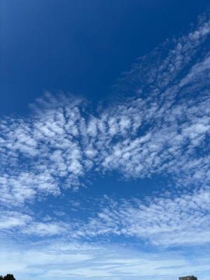 山岡鈴蘭の写メ日記｜ローテンブルク 吉原高級店ソープ