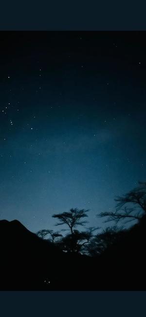 山岡鈴蘭の写メ日記｜ローテンブルク 吉原高級店ソープ